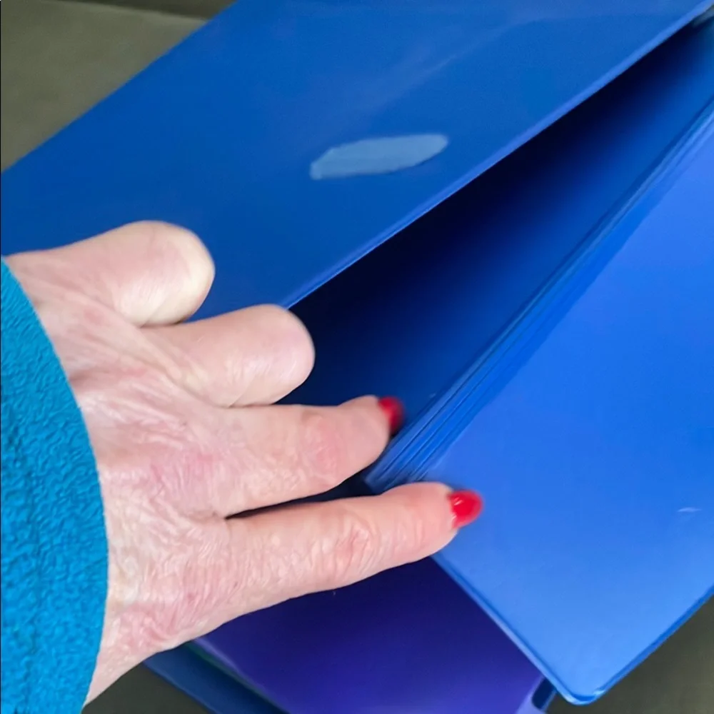 Blue and Purple File Organizer